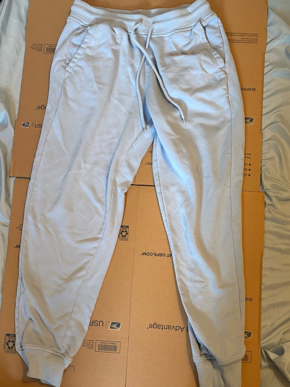 Champion Light Blue Fleece Joggers